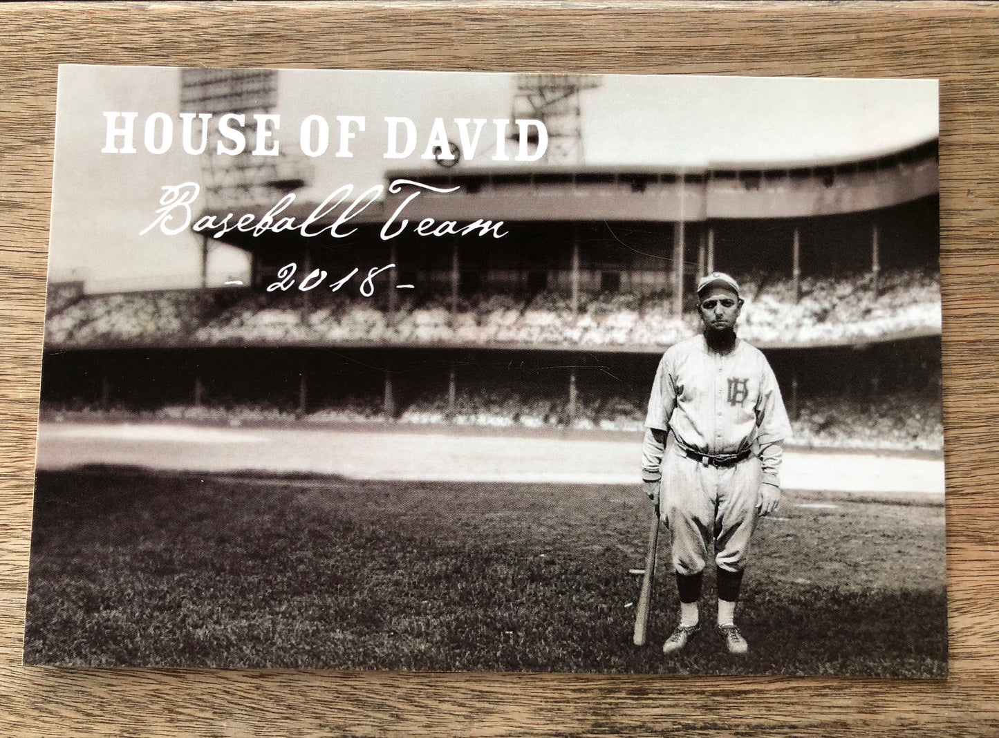 House of David Postcard