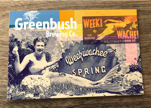 Weekie Wachee Postcard